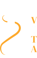 DI-Vita-Logo-2